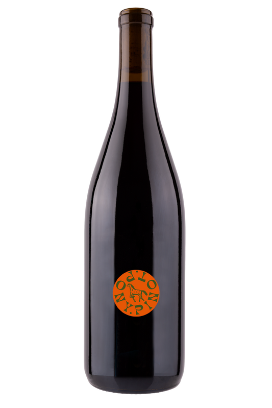 2022 Pinot Noir