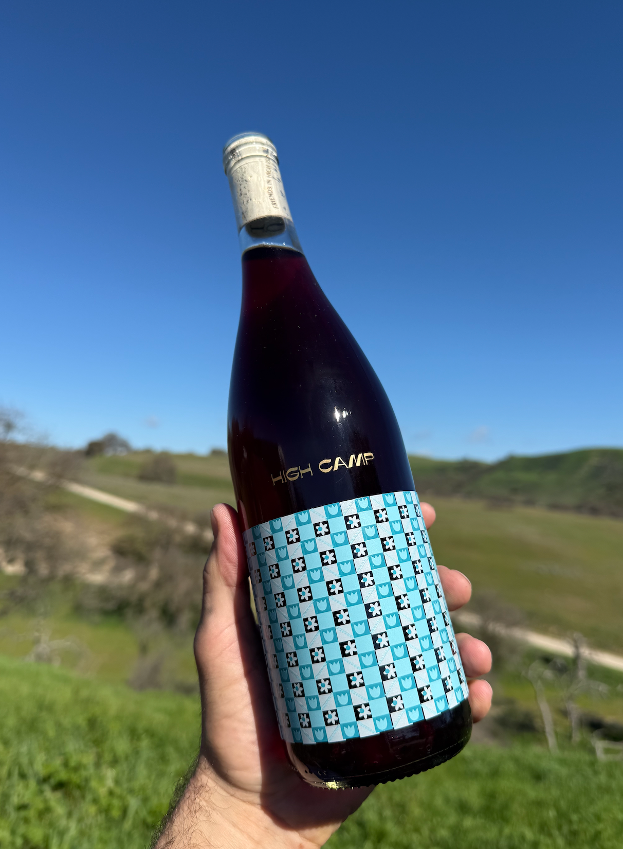 2025 Picnic Pinot Noir